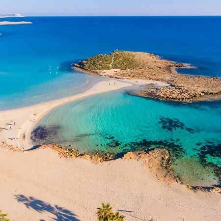 فيلة Coral Bay 7 *